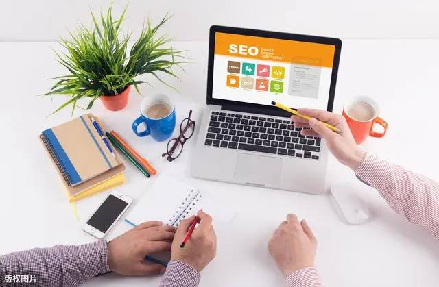 黑松露为什么比黄金还贵